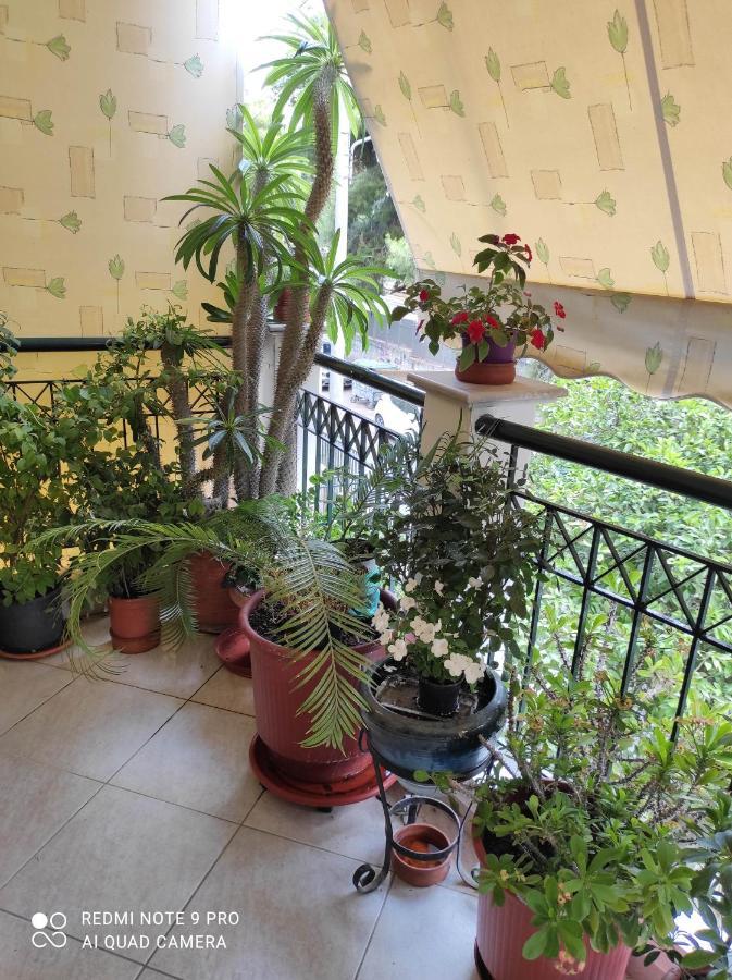Aktys Elegant Studio, Αθήνα Εξωτερικό φωτογραφία